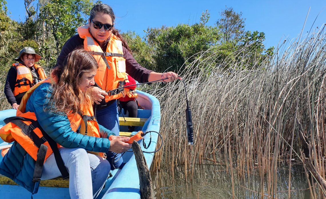 Se inició programa de monitoreo ambiental del proyecto GEF de humedales costeros Página V