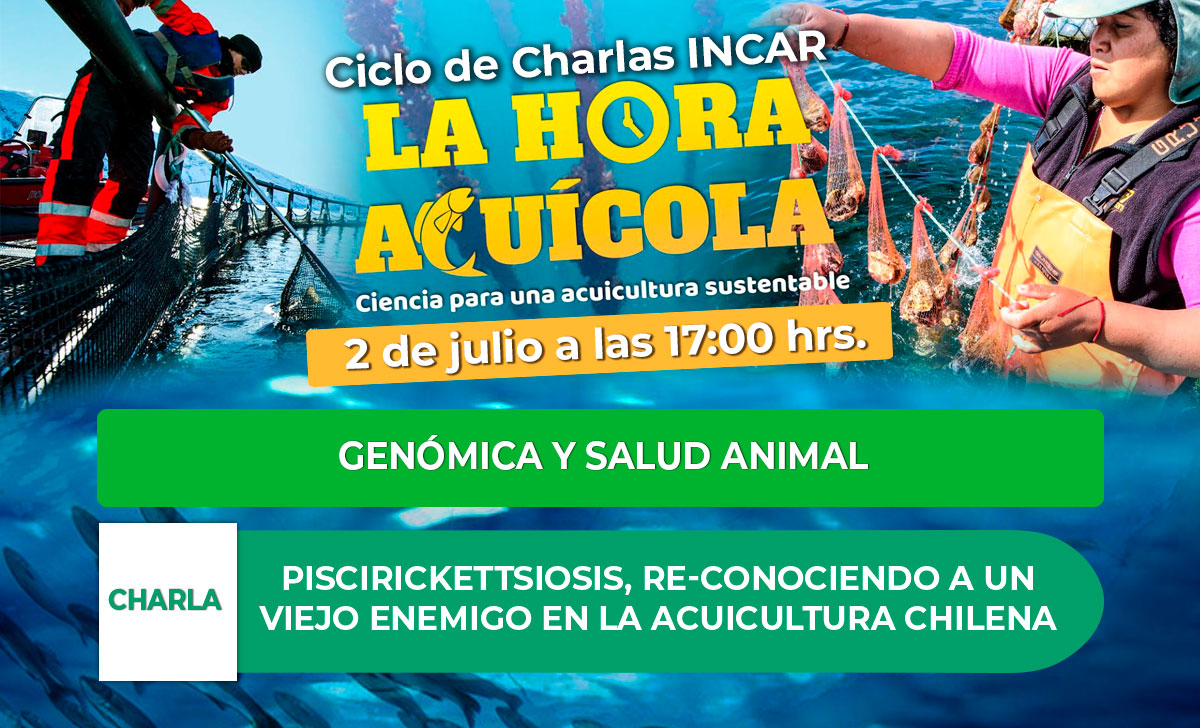 Nueva Charla INCAR abordará la Piscirickettsia salmonis