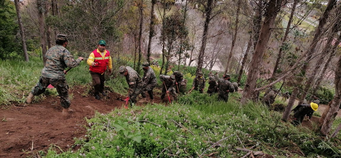 CONAF capacita a 678 efectivos del Ejército y la Armada en el combate de incendios forestales