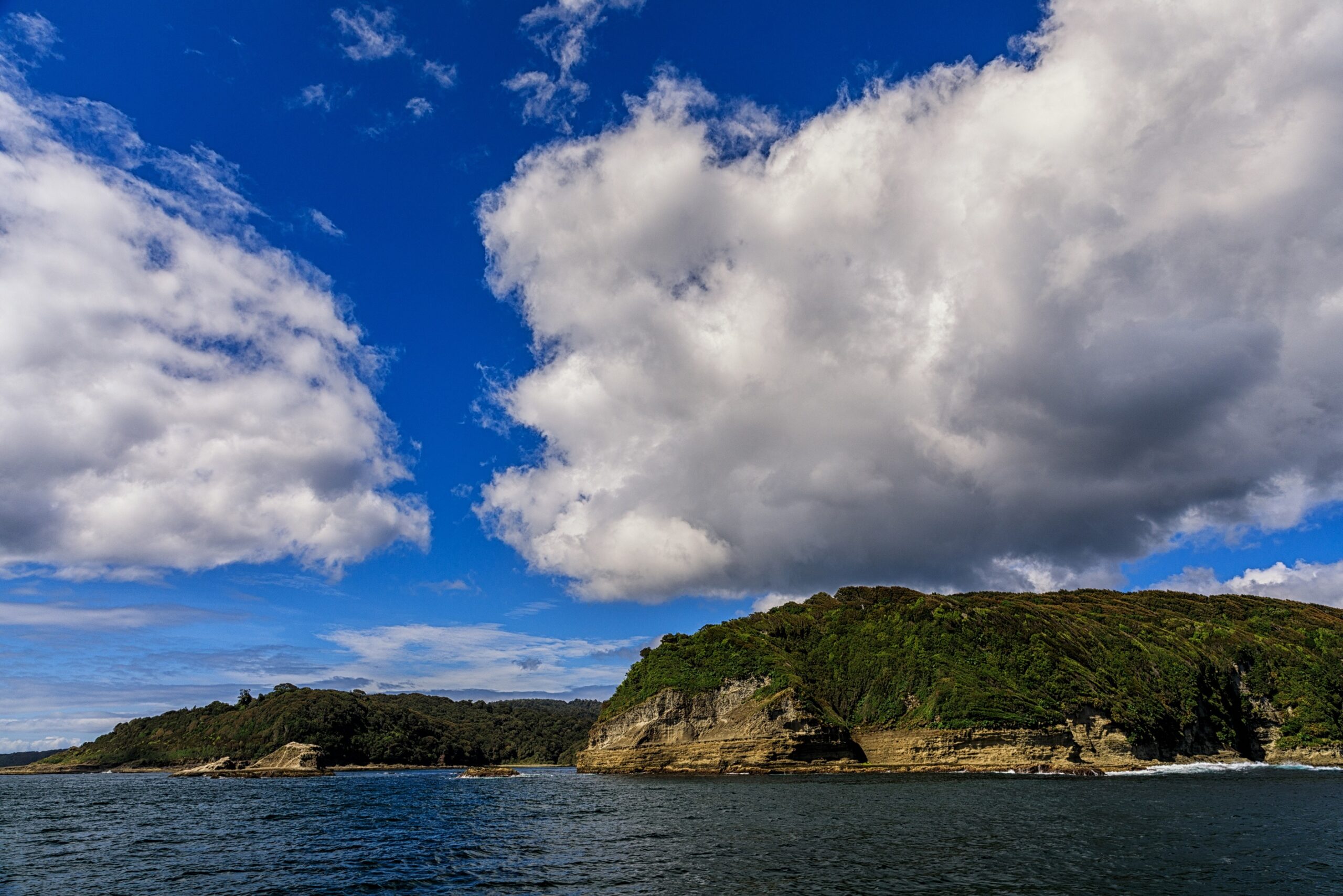 Diputados acuerdan agilizar trámite de ECMPO para proteger isla Guafo