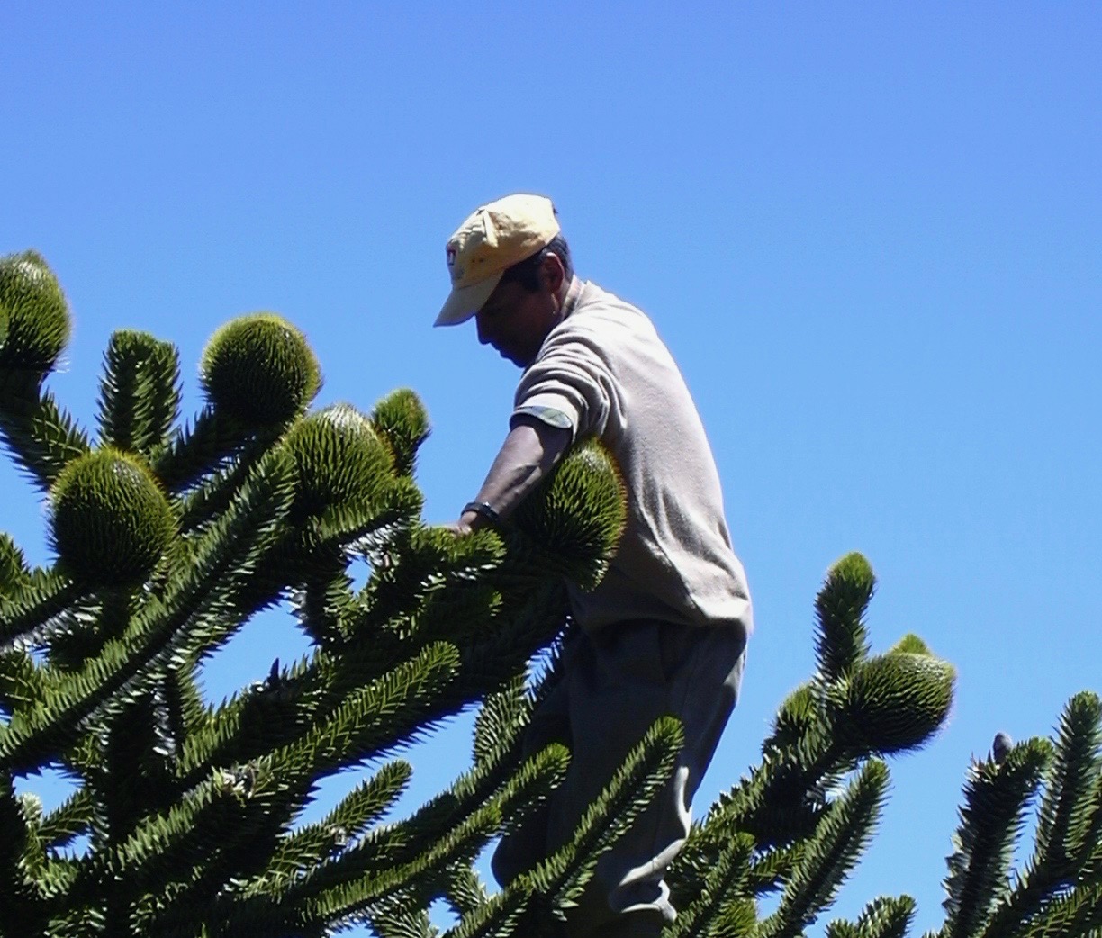WWF publicó el reporte “Integrando los derechos humanos en la conservación de la naturaleza: de la intención a la acción”