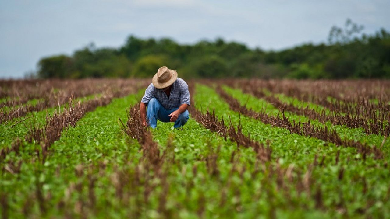 Agua y modernización: Indap reafirma sus prioridades con la pequeña agricultura