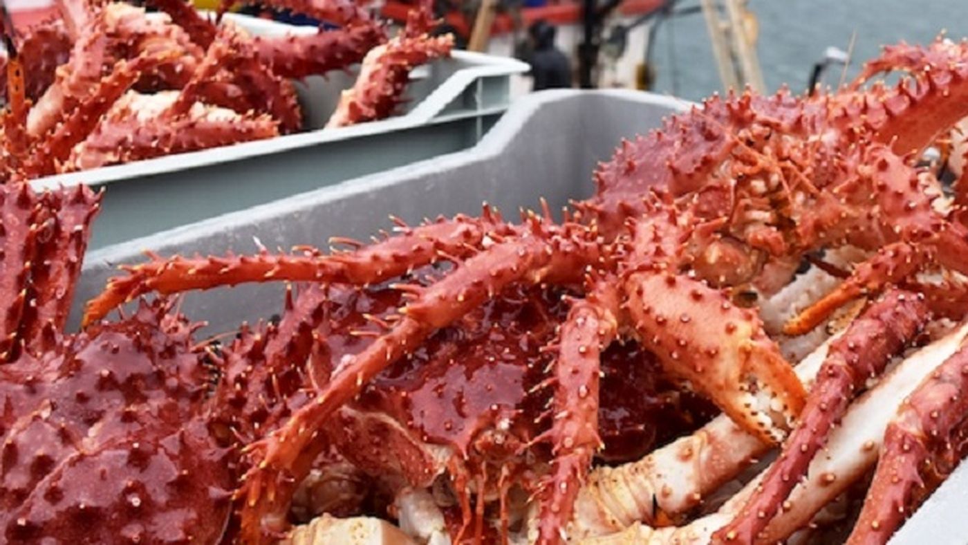 Magallanes: Sernapesca y Armada incautan 17 km de redes centolleras