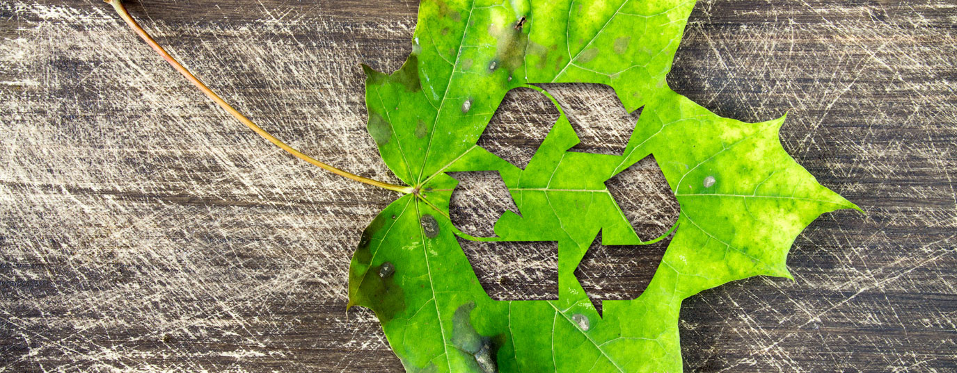 Facultad de Ciencias UCSC finaliza talleres de reciclaje y economía circular con estudiantes del Instituto de Humanidades de Concepción