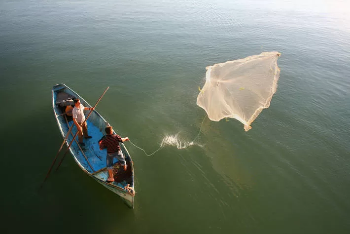 La pesca y la acuicultura son una parte fundamental de la transformación de los sistemas agroalimentarios, según el director general de la FAO