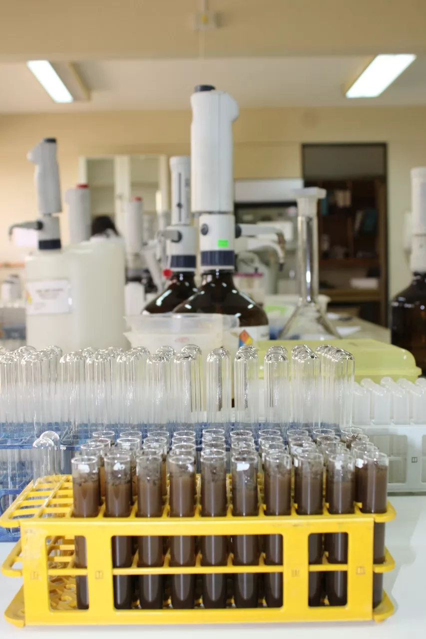 Agronomía UdeC mantiene abiertos y en funcionamiento sus servicios de laboratorios