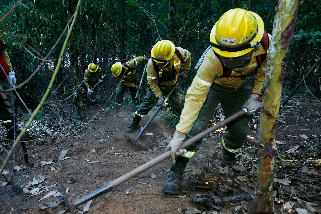 Empresas forestales apoyan con 6 aeronaves y 13 brigadas, combate de incendio en Lumaco, en La Araucanía