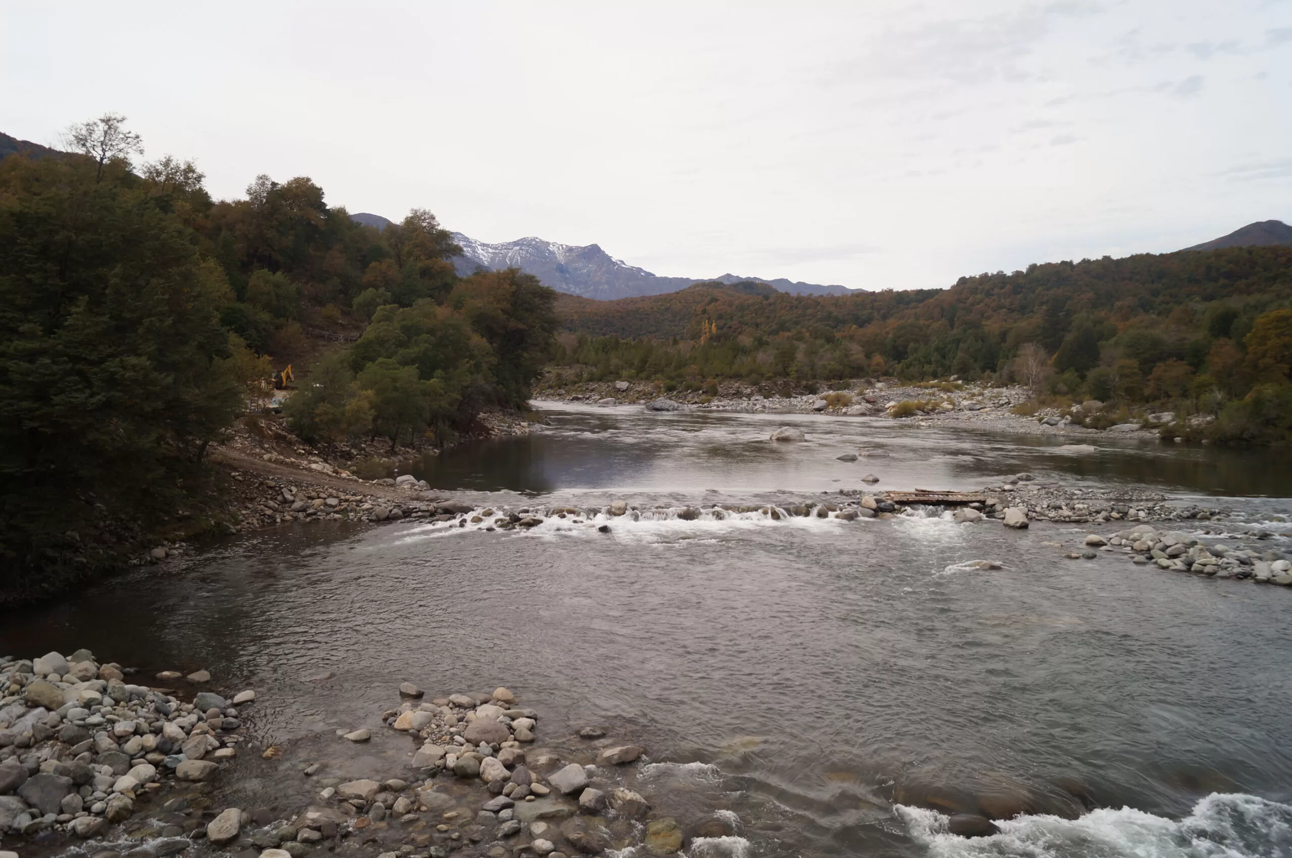Estudio analizará la contaminación lumínica en mitílidos de las costas del Biobío