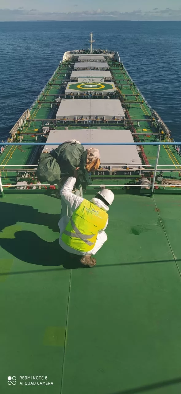 SAG intensifica inspecciones de naves provenientes de áreas de riesgo de Lymantria dispar