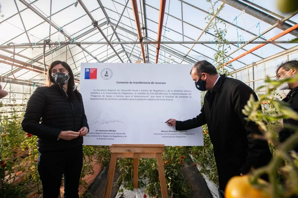 Programa incentiva la autoprovisión de alimentos saludables para familias más vulnerables