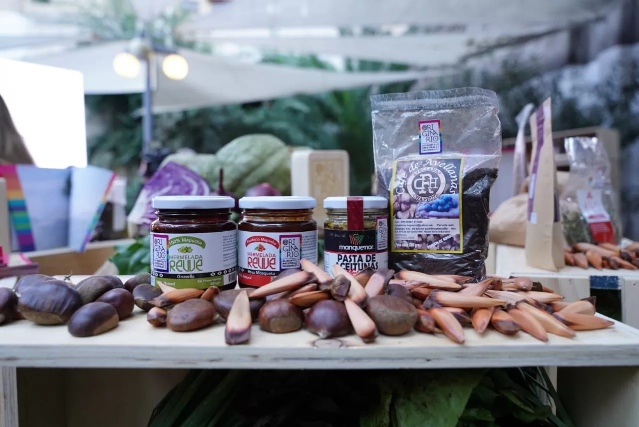 Recetario destaca riqueza de alimentos ancestrales y sus productores en el día de la cocina chilena