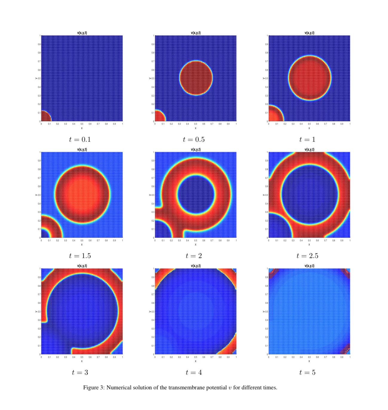 Investigadora del CI²MA-UdeC adjudicó financiamiento ECOS-ANID