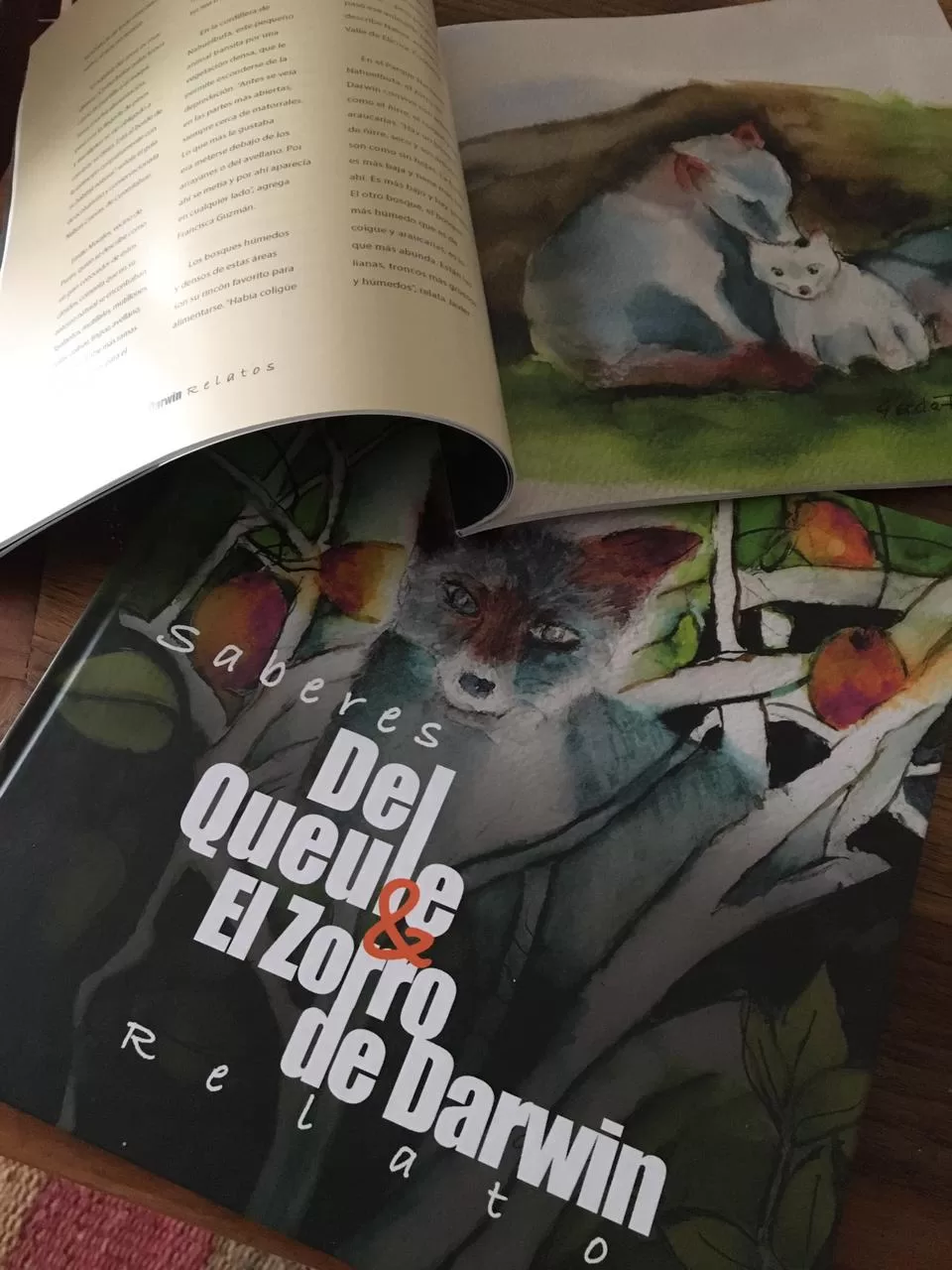 Libro sobre el zorro de Darwin y el queule busca fortalecer la pertinencia territorial de estas especies