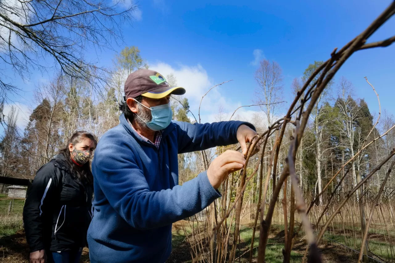 Diversificación y eficiencia en riego destacan como acciones ante el cambio climático en taller con productores en La Araucanía