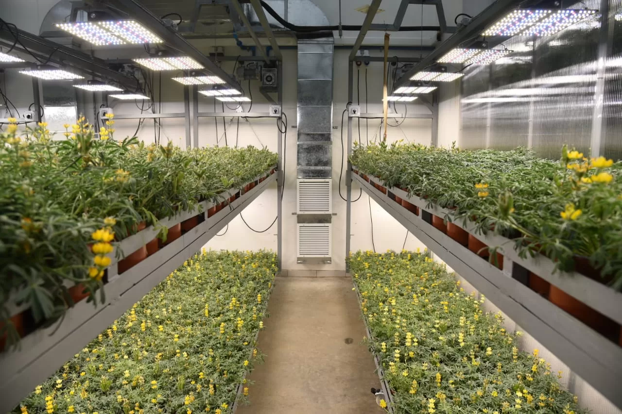 Destacan capacidades en La Araucanía para la investigación e innovación en plantas y alimentos