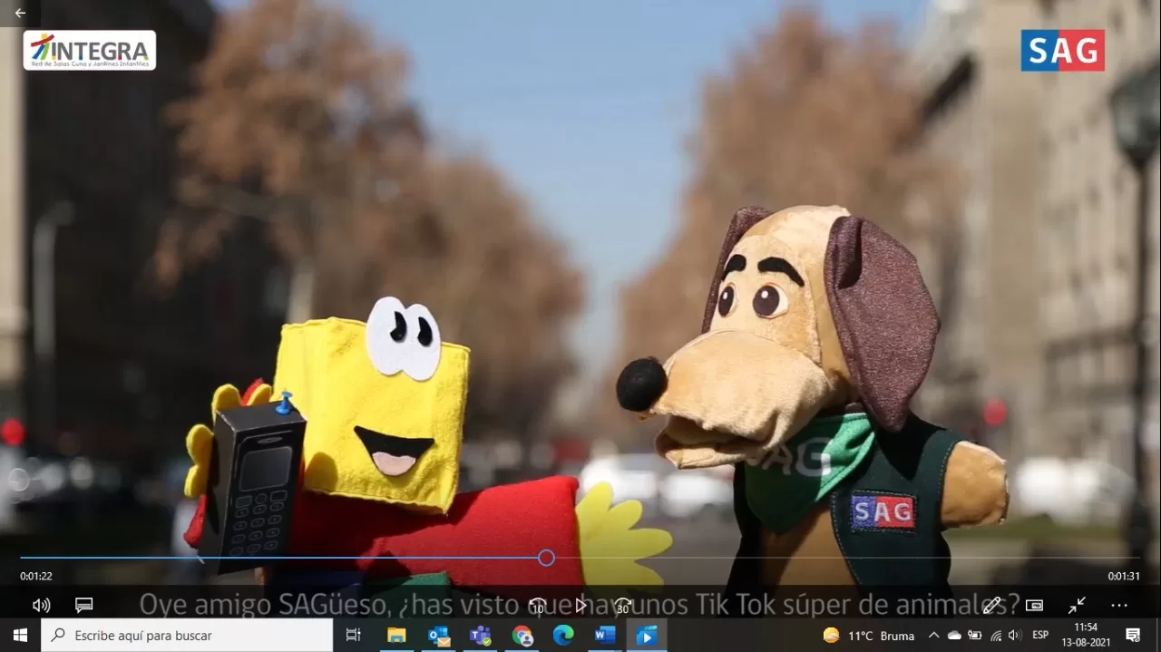 SAG e Integra lanzan proyecto “Historias de nuestra fauna”