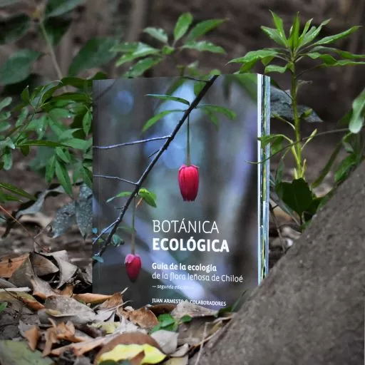 Botánica Ecológica: un libro que invita a caminar por cada rincón del bosque chilote