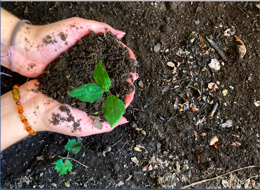 #MoviéndonosXLaNaturaleza: curso de WWF Chile abrió inscripciones para su segunda edición