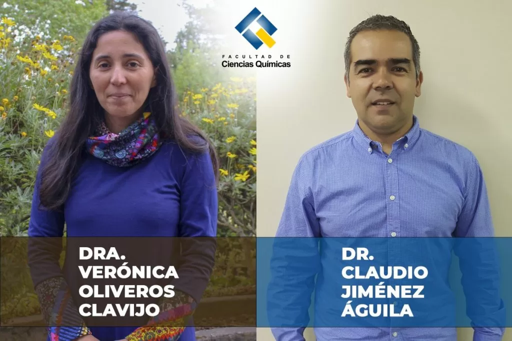 Académica y académico de Ciencias Químicas adjudican proyecto Anillo 2021