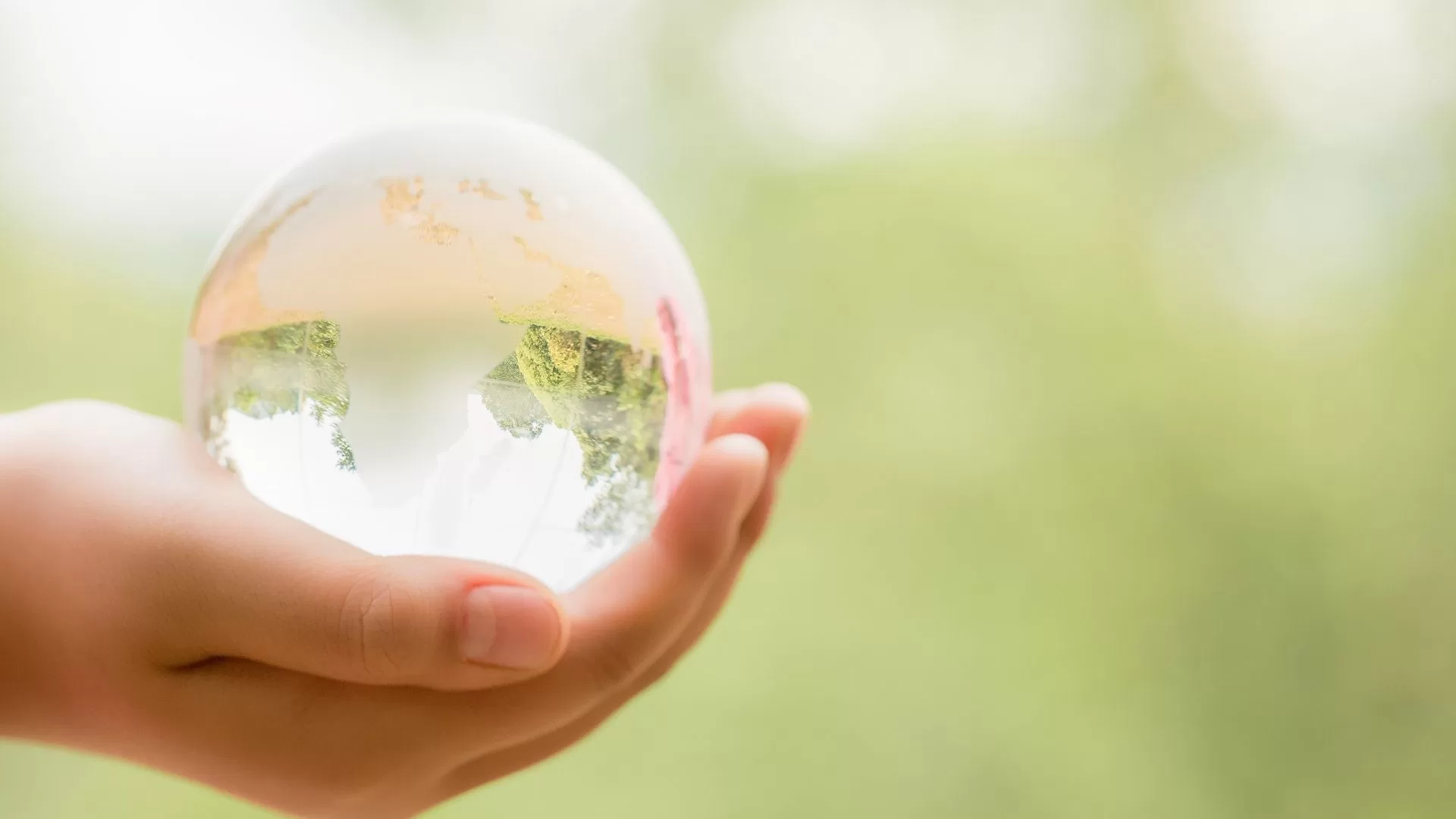 Taller analiza alcances de la creación de Comité de Capital Natural en Chile