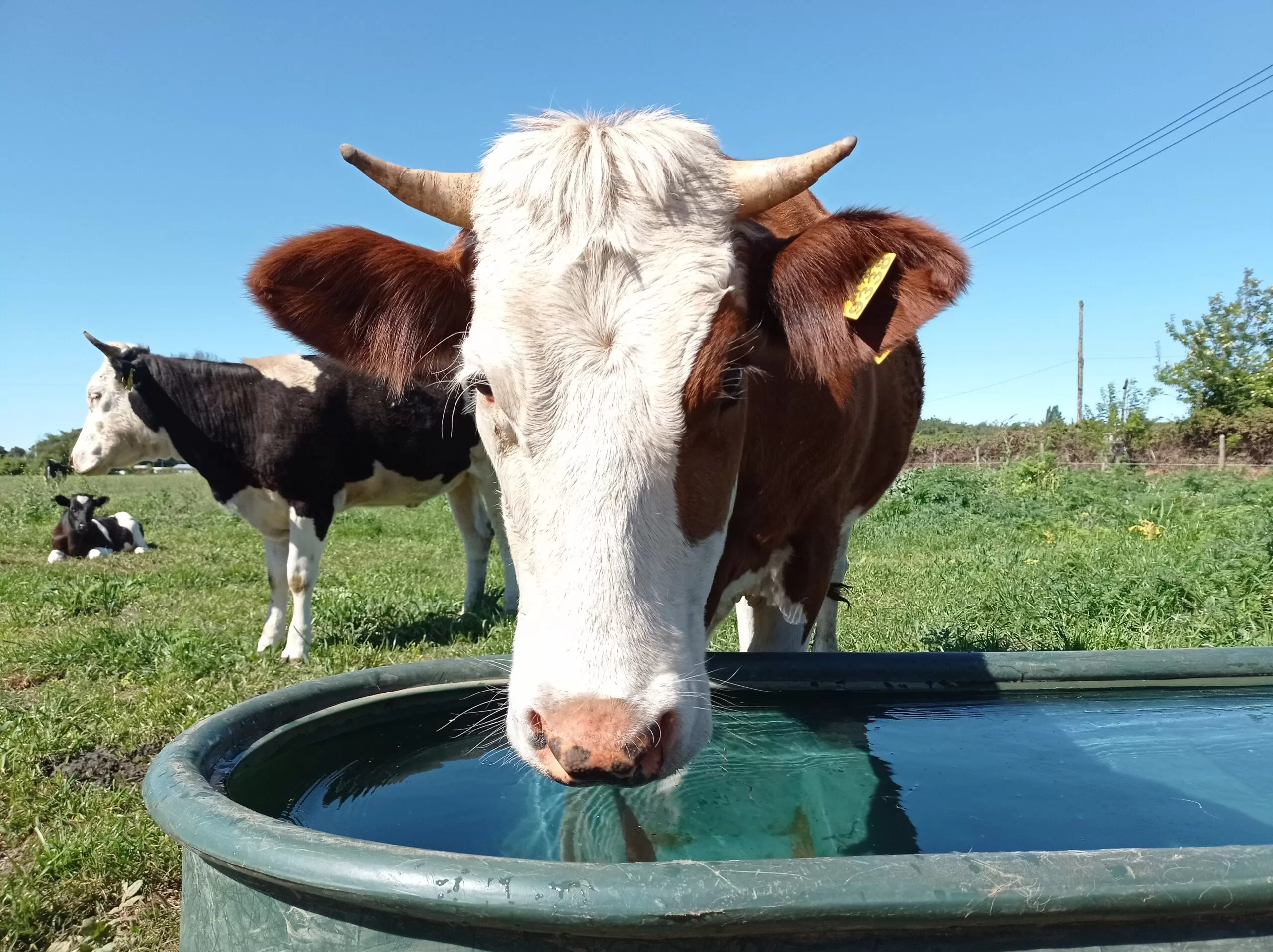 Fomentan buenas prácticas que buscan evitar contaminar aguas de riego