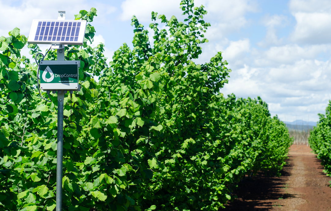 App chilena figura dentro de las cuatro mejores aplicaciones agrícolas para 2022
