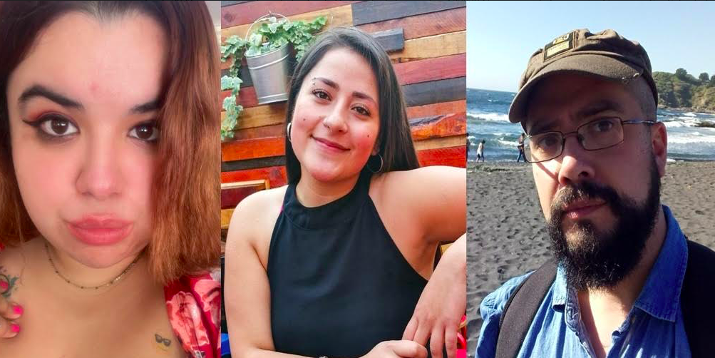 Ciencias UCSC participó en cursos dictados en convenio de las 6 Ues integrantes de la iniciativa Ci2030 Ciencia para la Innovación, Consorcio Sur-Subantártico