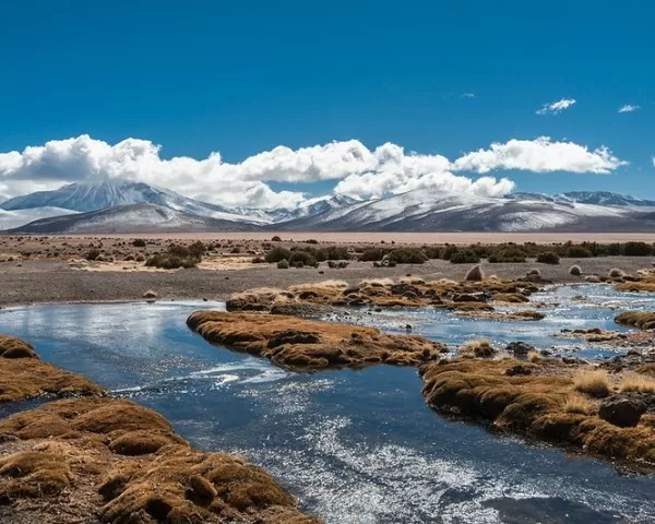 CONAF celebra Día Mundial de los Humedales promoviendo compromiso con su protección