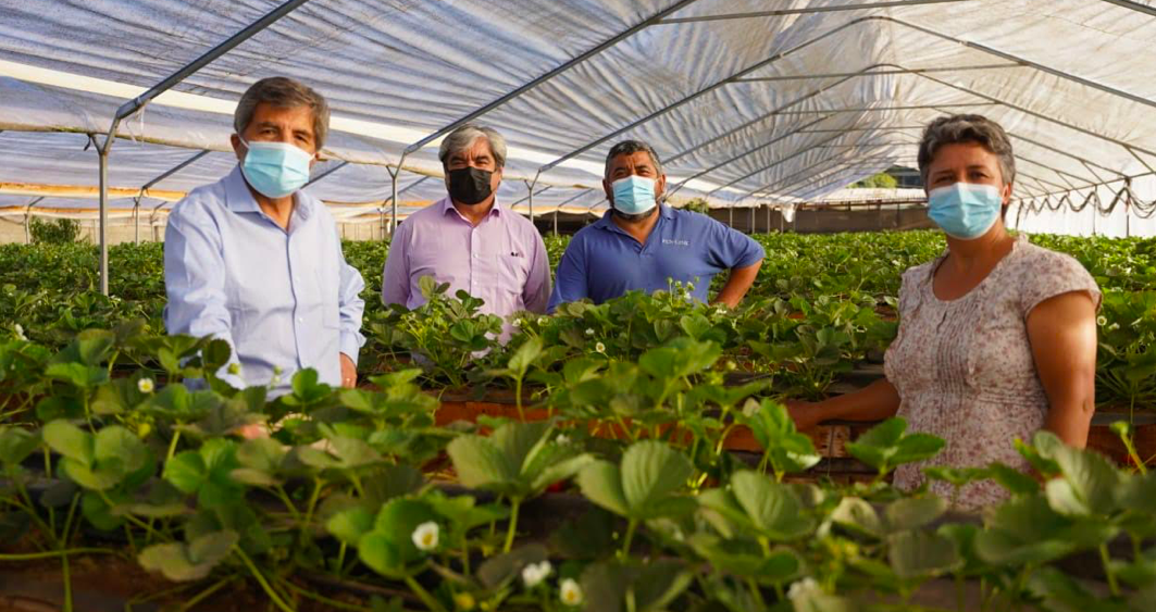 Visita a criancero apoyado con plan caprino marca gira del director nacional de Indap por Coquimbo