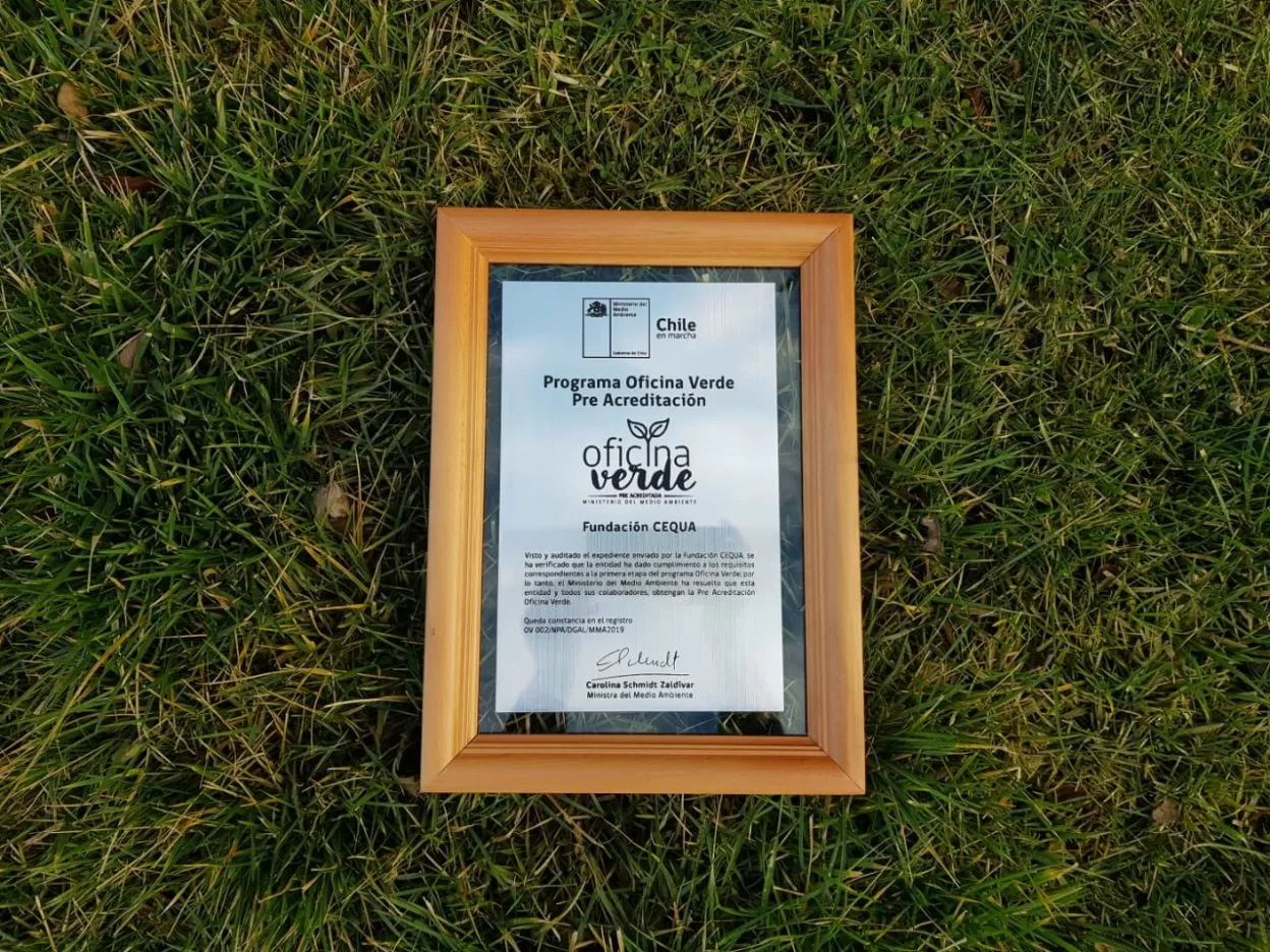 Instituciones y empresas de Magallanes quieren acreditarse como “Oficina Verde”