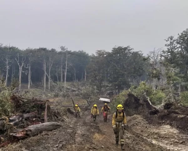 Timaukel: incendio parcialmente contenido, pero en alerta por fuertes rachas de viento