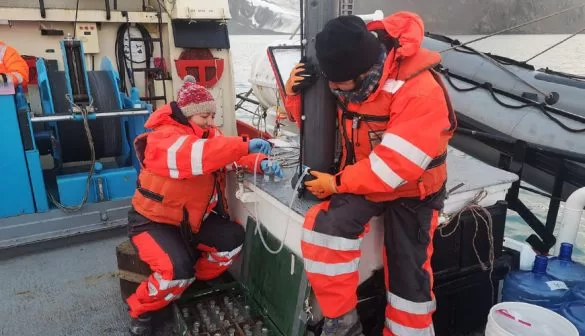 Estudio permitirá conocer el funcionamiento de las corrientes marinas en la Antártica