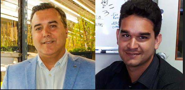 Científicos establecen nuevas bases para el desarrollo de cultivos y plantas resistentes a bajas temperaturas