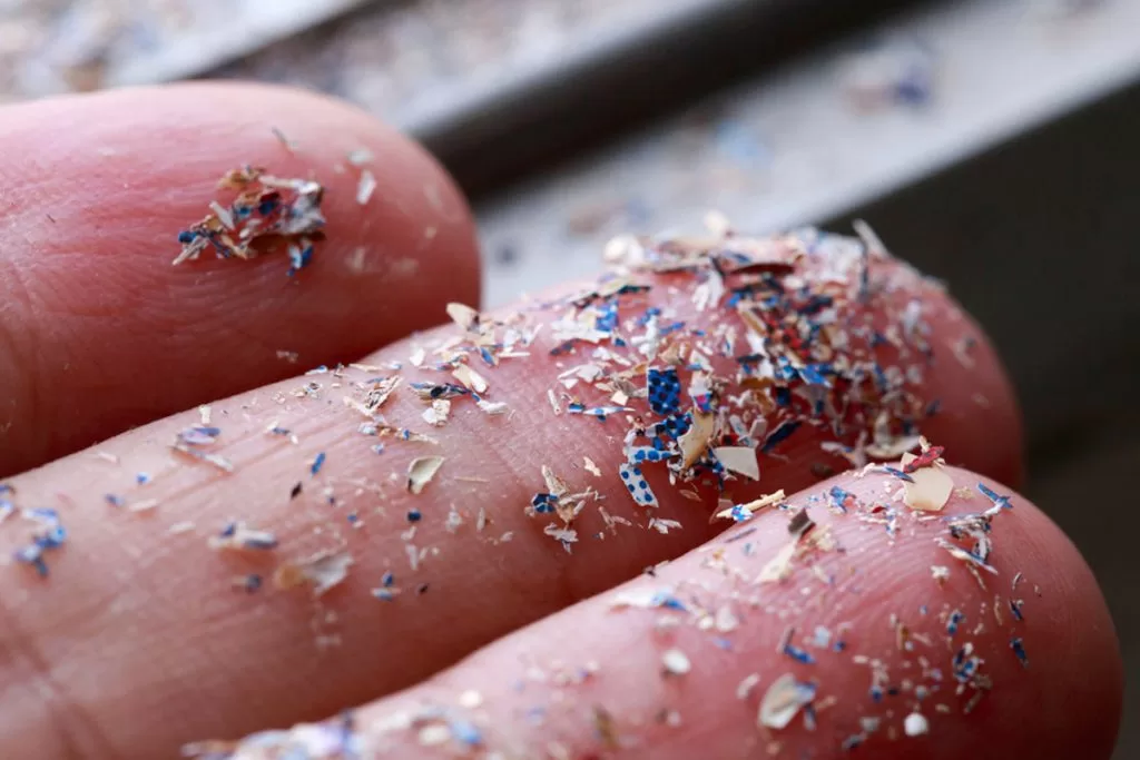 ¿Microplásticos en el torrente sanguíneo humano? Académico UdeC desmenuza una de las investigaciones más comentadas en este 2022