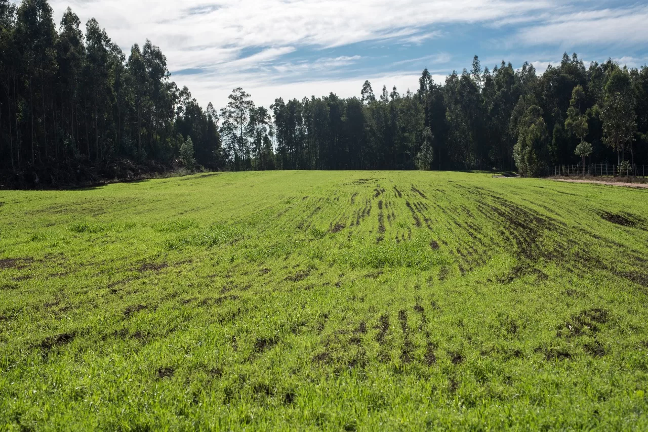 Científicos, académicos y representantes públicos y privados presentan propuestas para medir la sustentabilidad en la actividad silvoagropecuaria