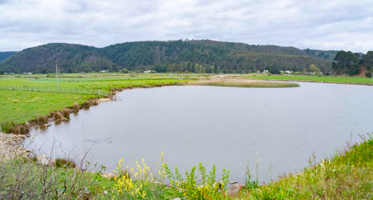 Humedales Urbanos: Inició proceso de recepción de antecedentes del humedal Taucú de Cobquecura