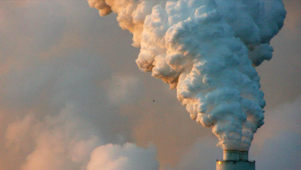 Centro de Acción Climática PUCV presenta curso gratuito y abierto a la comunidad