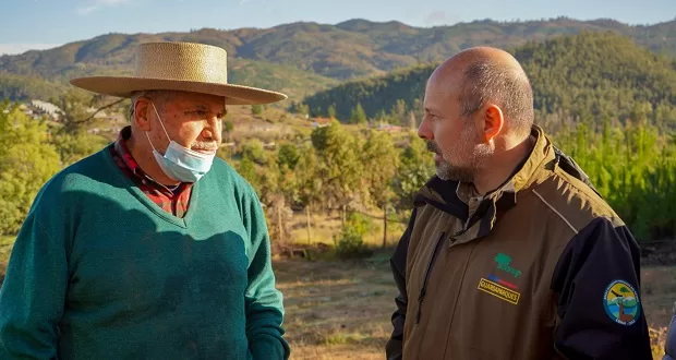 Director Ejecutivo de CONAF visitó proyecto emblemático de restauración de bosques en Nirivilo