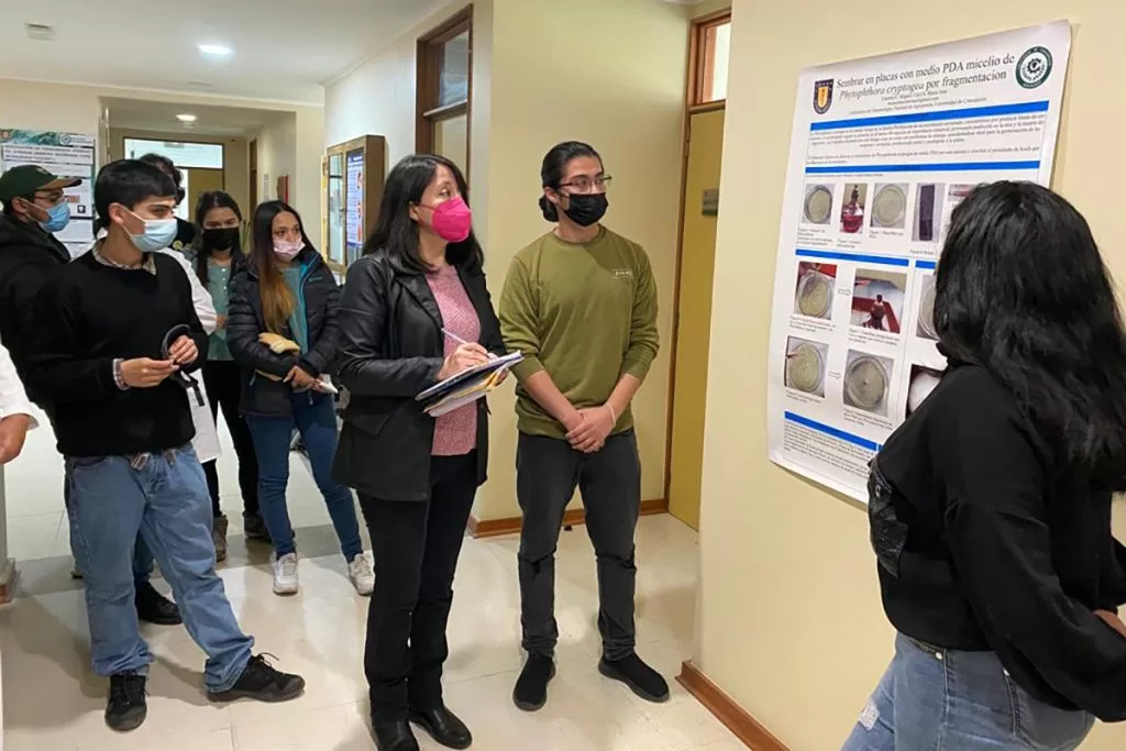 Estudiantes Agronomía UdeC destacan con posters importancia de la sanidad vegetal en la agricultura