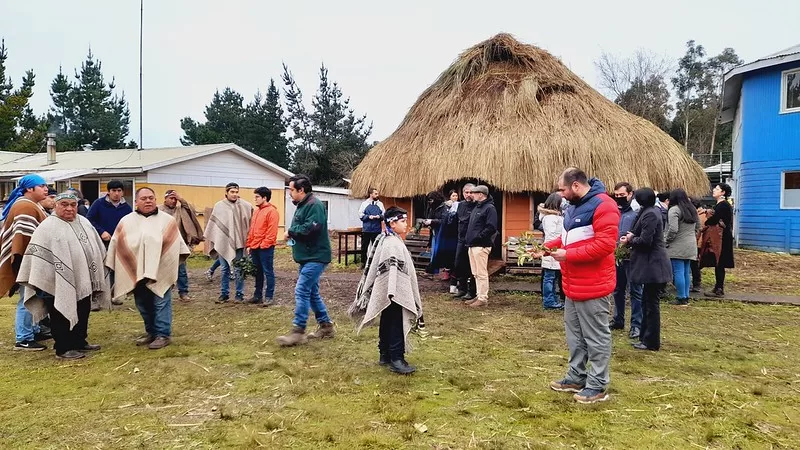 CONAF reafirma compromiso con la medicina mapuche en este We tripantu