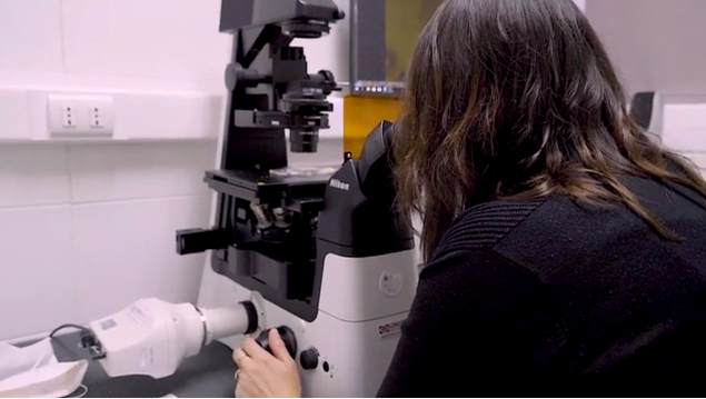 Científicas proponen estrategias para promover la igualdad de género en instituciones de investigación interdisciplinaria en las ciencias marinas