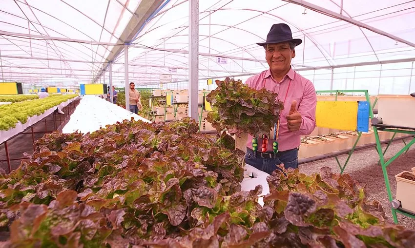 Con el 1er Encuentro de Innovación y Emprendimiento Agropecuario de Tarapacá conmemorarán el Día Nacional del Campesino