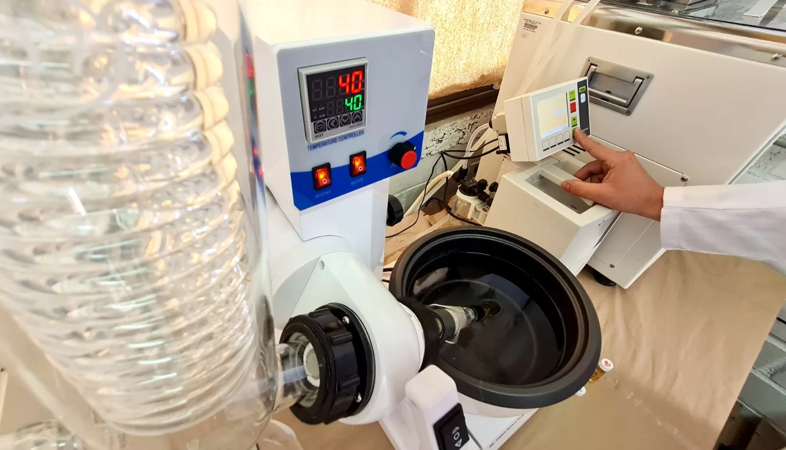 Chile: fuente única para descubrimiento de hongos con aplicaciones medicinales