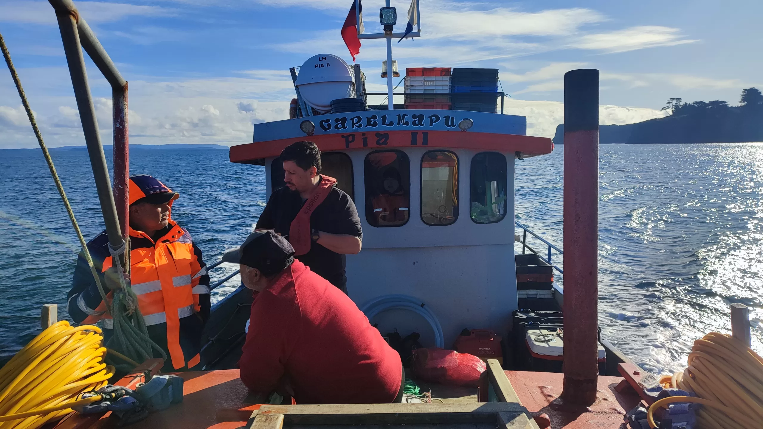 Programa de Investigación Pesquera UACh realizó primer muestreo de anémona invasora en Carelmapu