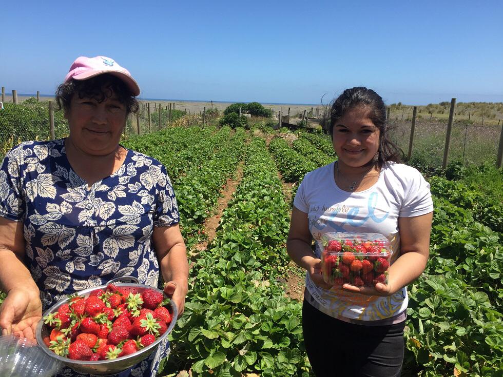Llaman a mujeres de Biobío a inscribirse en curso gratuito de riego