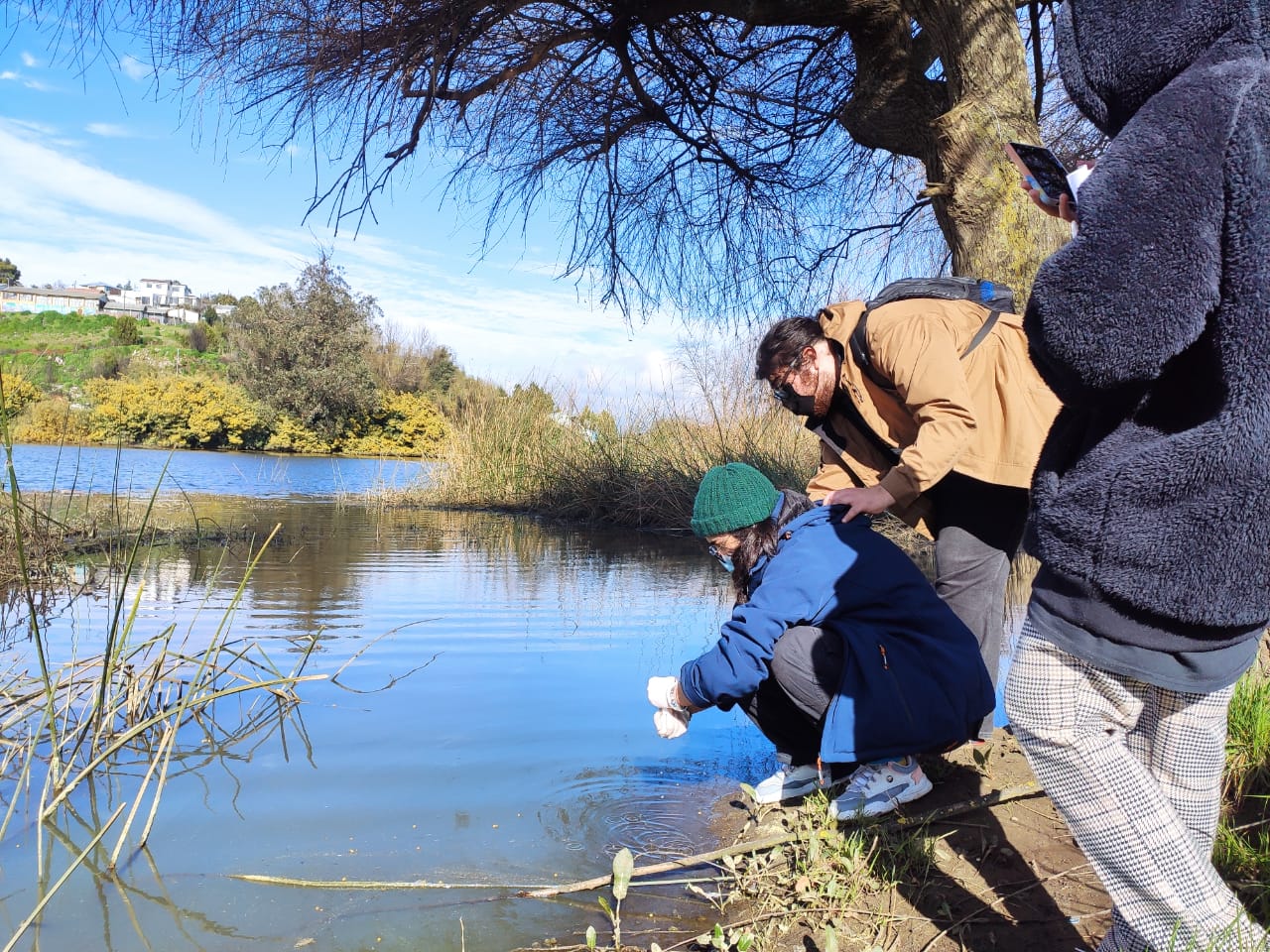 Estudiantes de Química Ambiental UCSC realizan análisis de las bacterias que crecen en agua y suelo de lagunas en Concepción