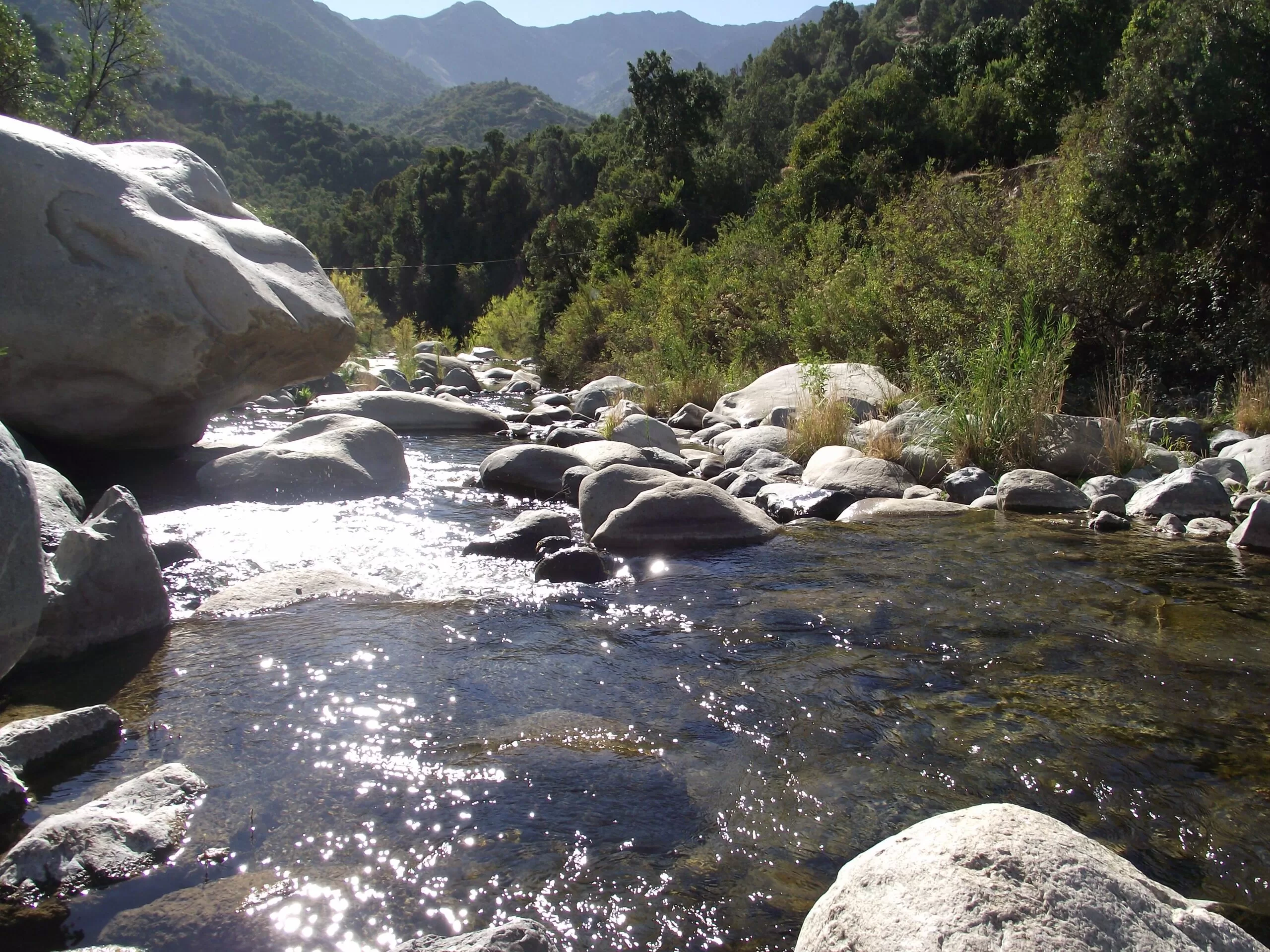 Ministro de Canadá inaugurará extensión de sendero inclusivo y mirador en Parque Nacional Río Clarillo