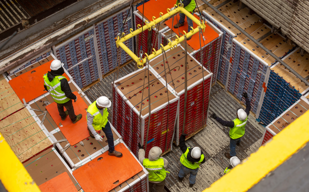Puerto de Coronel ha inaugurado su servicio de embarque de fruta fresca.