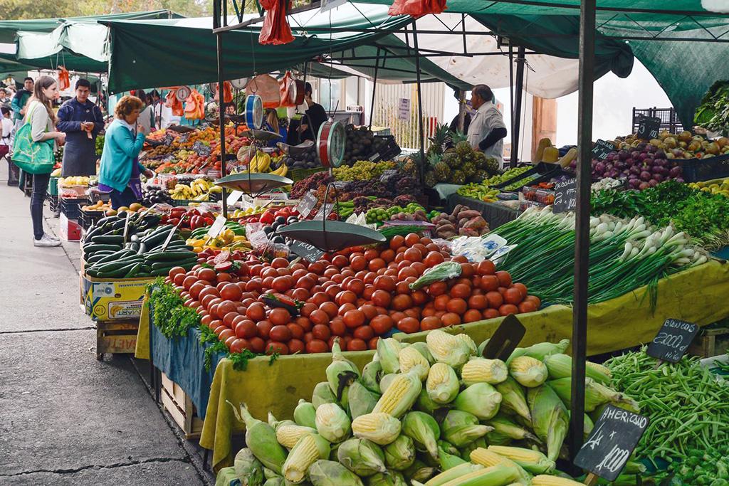 La importancia de una alimentación sostenible para el cuidado de nuestro planeta