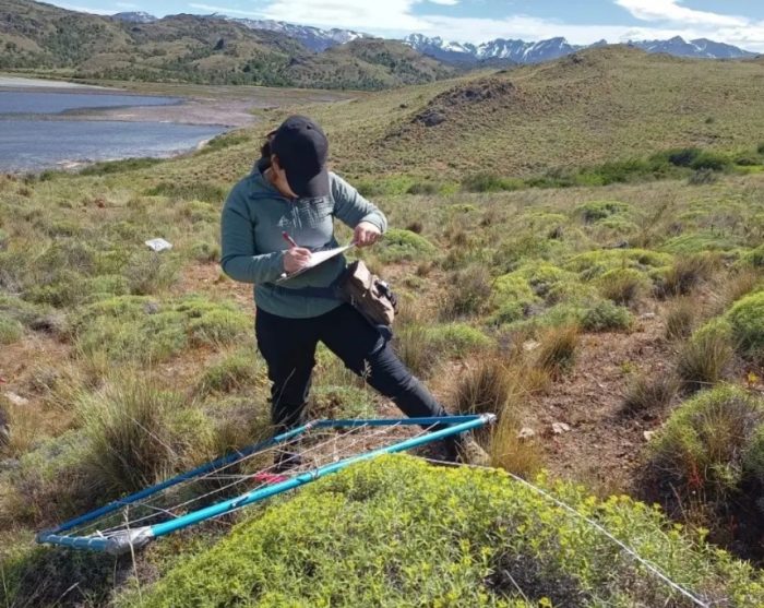 Nuevos hallazgos revelan cambios milenarios en vegetación e incendios en la Patagonia chilena